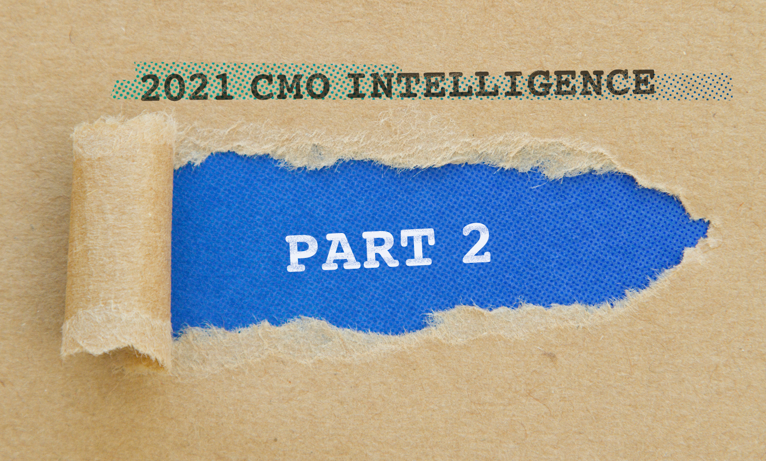 2021 CMO Intelligence Part 2