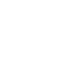 Attindas.png