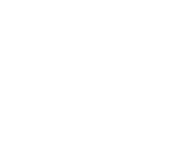 Domtar2